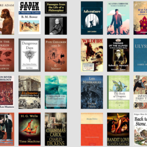 1,000 Timeless Classic Novels Vault | 100% Copyright-Free + PLR Rights